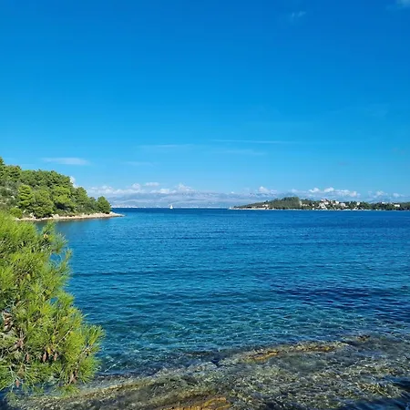 Stina Solta * Grohote