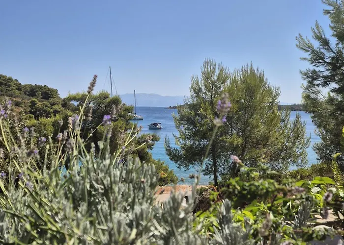 Apartamento Stina Solta Grohote