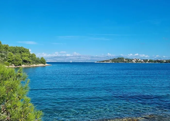 Stina Solta * Grohote